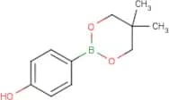 4-Hydroxybenzeneboronic acid, neopentyl glycol ester