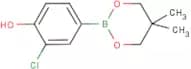 3-Chloro-4-hydroxybenzeneboronic acid, neopentyl glycol ester