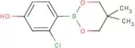 2-Chloro-4-hydroxybenzeneboronic acid, neopentyl glycol ester