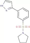 3-(3-Pyrrolidin-1-ylsulfonylphenyl)-1H-pyrazole