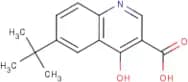 6-tert-Butyl-4-hydroxyquinoline-3-carboxylic acid