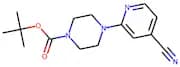 4-(4-Cyanopyridin-2-yl)piperazine, N1-BOC protected