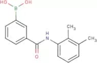 3-[(2,3-Dimethylphenyl)carbamoyl]benzeneboronic acid