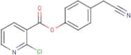 4-(cyanomethyl)phenyl 2-chloronicotinate