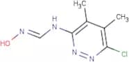 N-(6-Chloro-4,5-dimethylpyridazin-3-yl)-N'-hydroxyiminoformamide