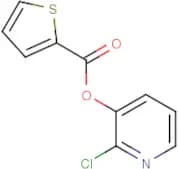 2-chloro-3-pyridyl thiophene-2-carboxylate