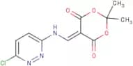 5-{[(6-Chloropyridazin-3-yl)amino]methylene}-2,2-dimethyl-1,3-dioxane-4,6-dione