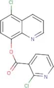 5-chloro-8-quinolyl 2-chloronicotinate