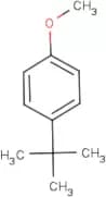 4-(tert-Butyl)anisole