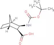 3-exo-Aminobicyclo[2.2.1]heptane-2-exo-carboxylic acid, N-BOC protected