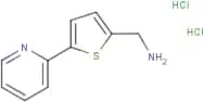 1-[5-(Pyridin-2-yl)thien-2-yl]methylamine dihydrochloride