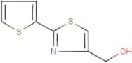 [2-(2-thienyl)-1,3-thiazol-4-yl]methanol