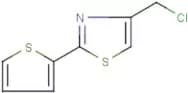 4-(Chloromethyl)-2-(2-thienyl)-1,3-thiazole