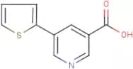 5-(Thien-2-yl)nicotinic acid