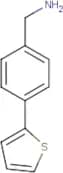 [4-(Thien-2-yl)phenyl]methylamine
