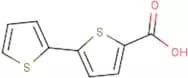 2,2'-Bithiophene-5-carboxylic acid