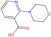 2-(4-Morpholino)nicotinic acid