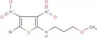 N2-(3-methoxypropyl)-5-bromo-3,4-dinitrothiophen-2-amine