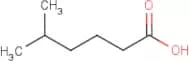 5-Methylhexanoic acid