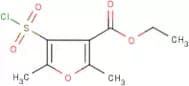 Ethyl 4-(chlorosulphonyl)-2,5-dimethyl-3-furoate