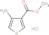 Methyl 4-aminothiophene-3-carboxylate hydrochloride