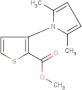 methyl 3-(2,5-dimethyl-1H-pyrrol-1-yl)thiophene-2-carboxylate