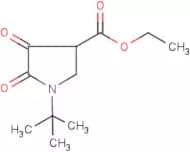 Ethyl 1-(tert-butyl)-4,5-dioxopyrrolidine-3-carboxylate