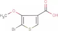 5-Bromo-4-methoxythiophene-3-carboxylic acid