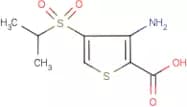 3-amino-4-(isopropylsulphonyl)thiophene-2-carboxylic acid