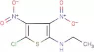 N2-ethyl-5-chloro-3,4-dinitrothiophen-2-amine