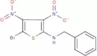 N2-benzyl-5-bromo-3,4-dinitrothiophen-2-amine