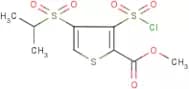 methyl 3-(chlorosulphonyl)-4-(isopropylsulphonyl)-2-thiophenecarboxylate