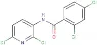 N1-(2,6-dichloro-3-pyridyl)-2,4-dichlorobenzamide