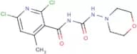 N-[(2,6-Dichloro-4-methyl-3-pyridyl)carbonyl]-N'-morpholinourea