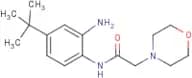 N-[2-Amino-4-(tert-butyl)phenyl]-2-(morpholin-4-yl)acetamide