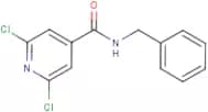 N4-benzyl-2,6-dichloroisonicotinamide