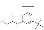 2-chloro-N-[3,5-di(tert-butyl)phenyl]acetamide