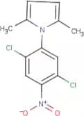 1-(2,5-Dichloro-4-nitrophenyl)-2,5-dimethyl-1H-pyrrole