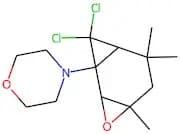 4-(8,8-dichloro-4,6,6-trimethyl-3-oxatricyclo[5.1.0.0~2,4~]oct-1-yl)morpholine