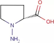 N-Amino-D-proline