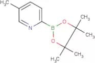 5-Methylpyridine-2-boronic acid, pinacol ester