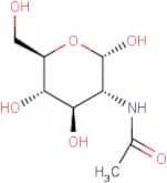 2-Acetamido-2-deoxy-α-D-glucopyranose
