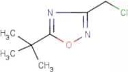5-tert-Butyl-3-(chloromethyl)-1,2,4-oxadiazole