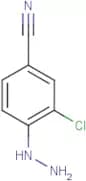 3-Chloro-4-hydrazinobenzonitrile