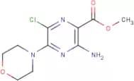 Methyl 3-amino-6-chloro-5-morpholinopyrazine-2-carboxylate