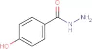 4-Hydroxybenzhydrazide