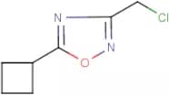 3-(Chloromethyl)-5-cyclobutyl-1,2,4-oxadiazole