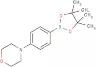 4-(Morpholin-4-yl)benzeneboronic acid, pinacol ester