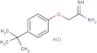 2-[4-(tert-butyl)phenoxy]ethanimidamide hydrochloride