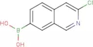 3-Chloroisoquinoline-7-boronic acid